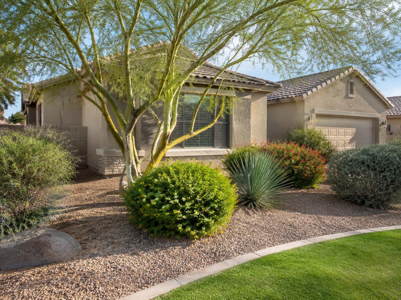 A tidy residential front yard in an Arizona neighborhood with gravel, shrubs, and a Palo Verde tree